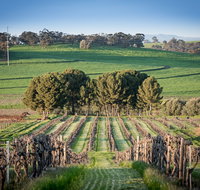 Heritage Wines - South Australia Travel