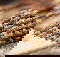 Mayfield Chocolates - Spring Hill - South Australia Travel