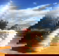 Fork it Farm - South Australia Travel