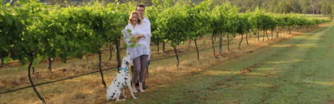 Greenway Wines - South Australia Travel 1