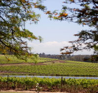 Wynwood Estate - South Australia Travel