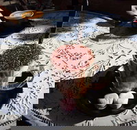 Gateaux By Marc Frissard - South Australia Travel