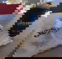 Jesters - Canning Vale - South Australia Travel