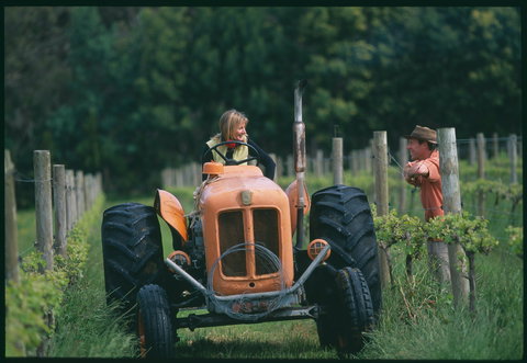 Oranje Tractor Wine - South Australia Travel 0