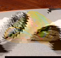 Wrap N Roll - Helensvale - South Australia Travel