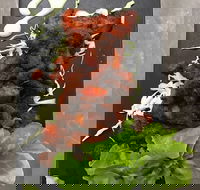 Royal India Restobar - South Australia Travel