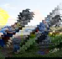 Sunhill Dairy Goats and Sunhill Skin Essentials - South Australia Travel