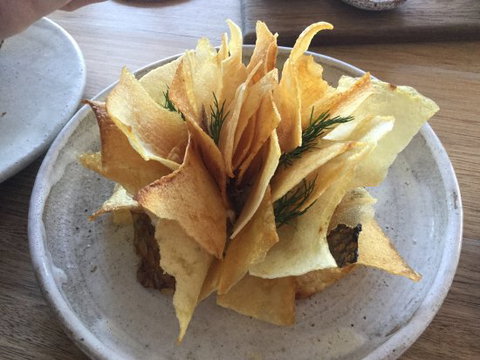 Fleet - South Australia Travel 0