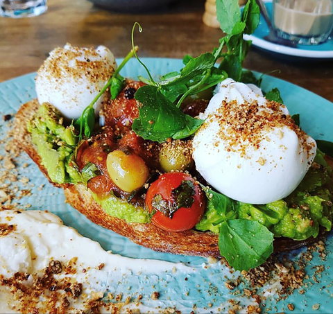 Fox And Bow - South Australia Travel 0