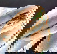 Lunch Bake - South Australia Travel