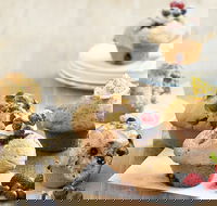 Modern Hunter - South Australia Travel