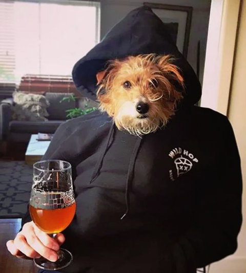 Wild Hop Brewing Company - South Australia Travel 1