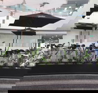 Basia Mille - South Australia Travel