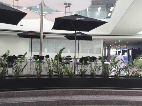 Basia Mille - South Australia Travel 0