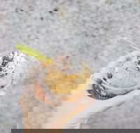 Mount Dandenong Hotel - South Australia Travel