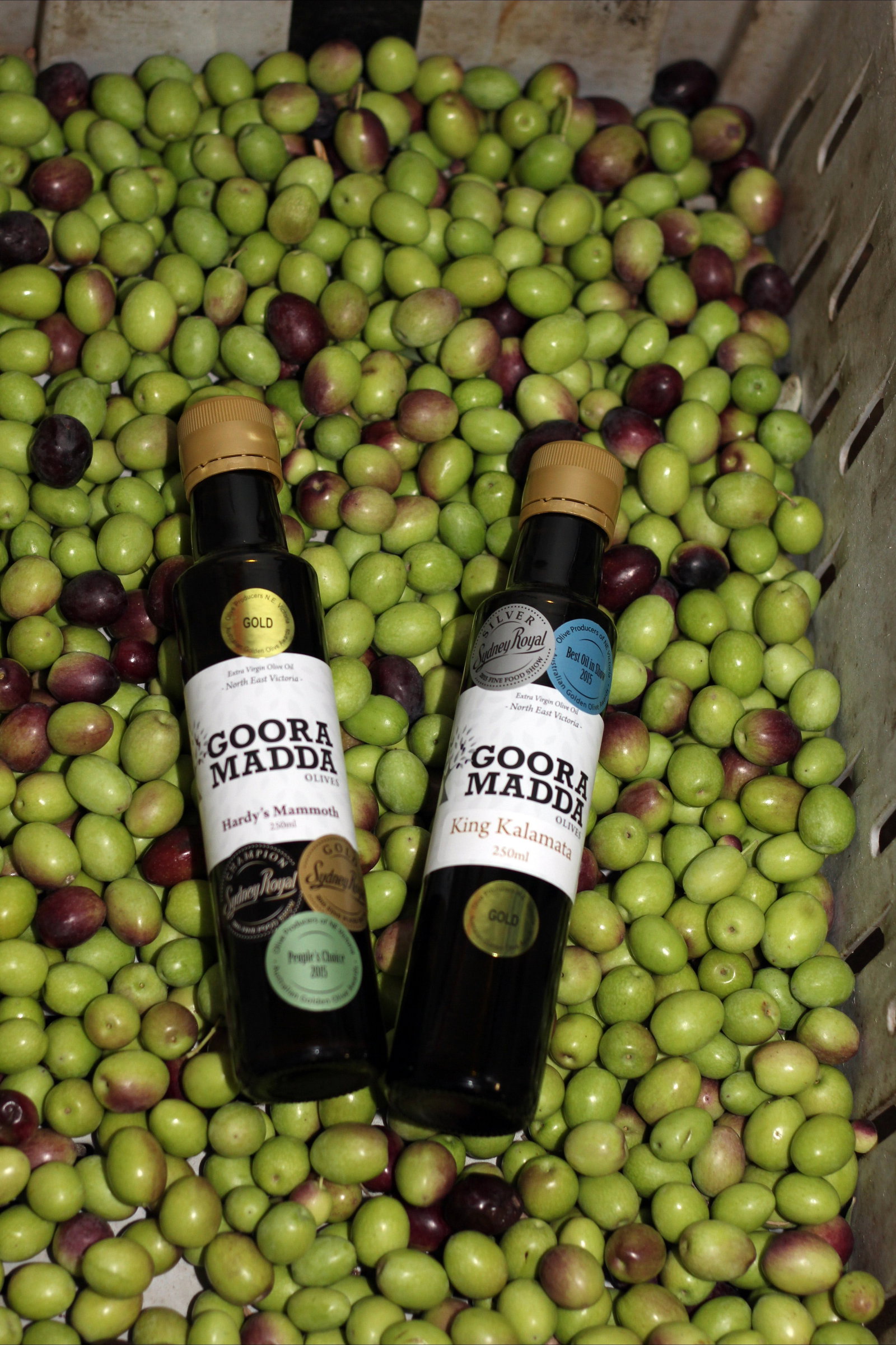 Gooramadda VIC South Australia Travel