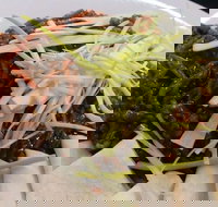 Rising Sun Hotel - South Australia Travel