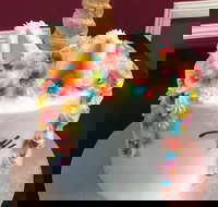 The Cake Gallery - South Australia Travel