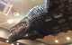 Sumatra Cafe - thumb 0