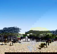 Hillock Downs Produce Store - South Australia Travel