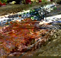 Bronze Orange - South Australia Travel