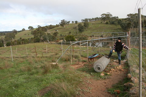 Hahndorf Venison - South Australia Travel 1