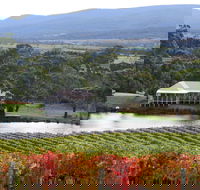 Milton Vineyard - South Australia Travel