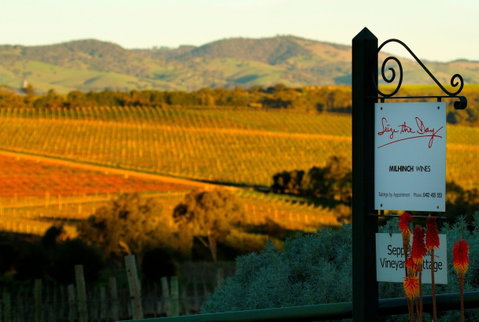 Seize The Day Wines - South Australia Travel 0