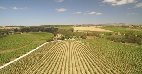 Seize The Day Wines - South Australia Travel 1