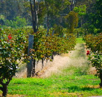 The Red Apron Gourmet Kitchen - South Australia Travel