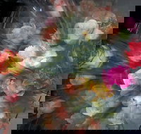 Ink Cafe - South Australia Travel