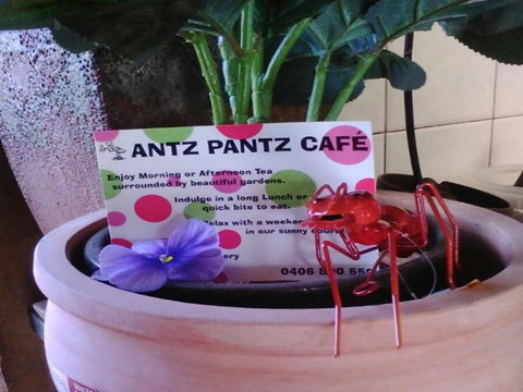 Antz Pantz Cafe - South Australia Travel 0