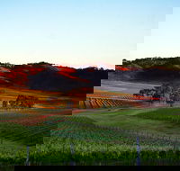 Dalwhinnie Wines - South Australia Travel