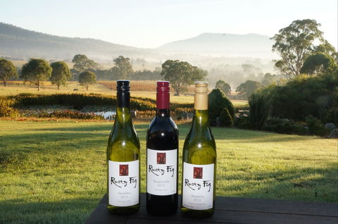 Rusty Fig Wines - South Australia Travel 0