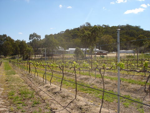 Banca Ridge Cellar Door And Vineyard - South Australia Travel 2