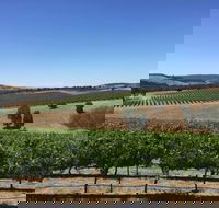 Peerick Vineyard and Winery - South Australia Travel