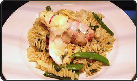 Spotty Cat - South Australia Travel 0