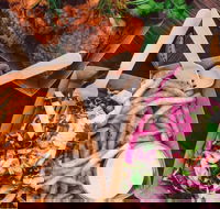 Lucky Egg - Fortitude Valley - South Australia Travel