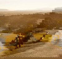 Petersons Wines - South Australia Travel