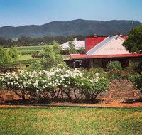 Hanging Tree Wines - South Australia Travel