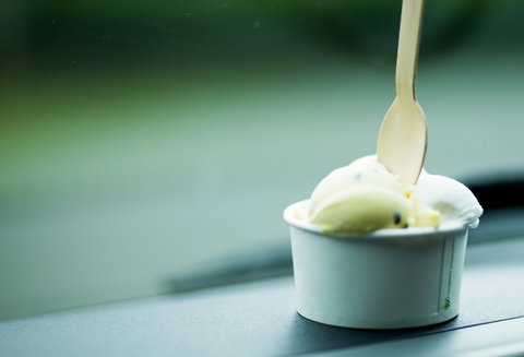 Daintree Ice Cream Company - South Australia Travel 0