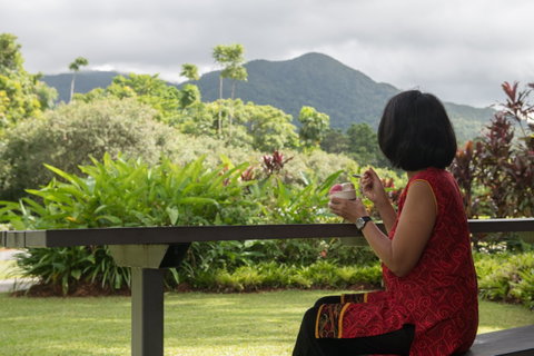Daintree Ice Cream Company - South Australia Travel 1
