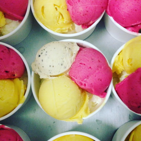 Daintree Ice Cream Company - South Australia Travel 2