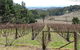 Habitat Vineyard - thumb 0