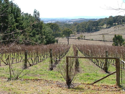 Habitat Vineyard - South Australia Travel 0