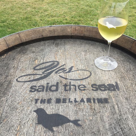 Yes Said The Seal - South Australia Travel 1