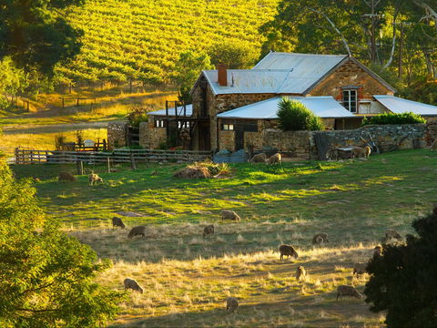 Hutton Vale Farm - South Australia Travel 1