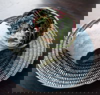 Merlo Torrefazione - Bowen Hills - South Australia Travel