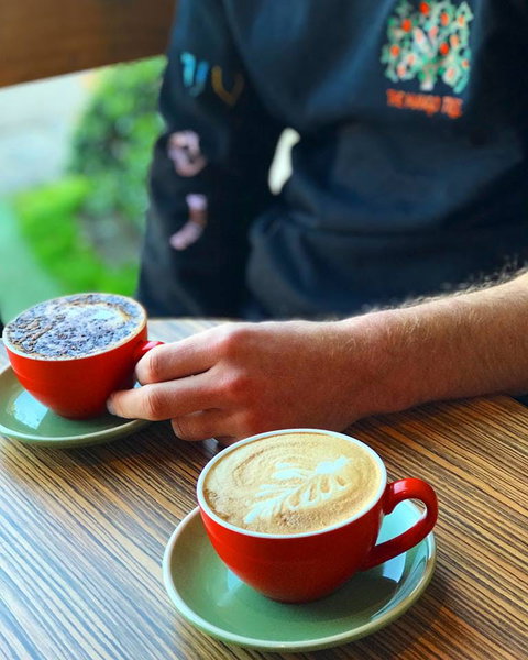 The Mango Tree - South Australia Travel 0