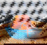 The Yiros Shop - Fortitude Valley - South Australia Travel